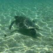 ヒメ日記 2025/07/17 23:07 投稿 新木 あなたに逢いたくて