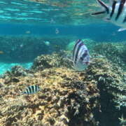 ヒメ日記 2025/08/09 08:07 投稿 新木 あなたに逢いたくて