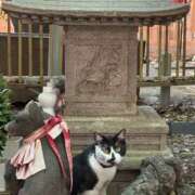 ヒメ日記 2025/08/14 23:37 投稿 新木 あなたに逢いたくて