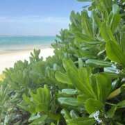 ヒメ日記 2025/08/16 07:07 投稿 新木 あなたに逢いたくて