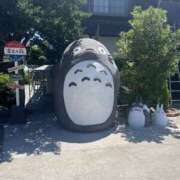 ヒメ日記 2025/08/24 17:27 投稿 新木 あなたに逢いたくて