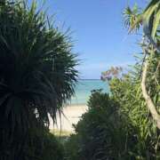 ヒメ日記 2025/09/02 09:07 投稿 新木 あなたに逢いたくて