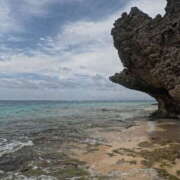 ヒメ日記 2025/09/04 00:07 投稿 新木 あなたに逢いたくて