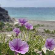 ヒメ日記 2025/09/13 07:07 投稿 新木 あなたに逢いたくて