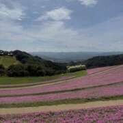 ヒメ日記 2025/09/20 08:07 投稿 新木 あなたに逢いたくて