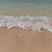 ヒメ日記 2025/09/23 07:07 投稿 新木 あなたに逢いたくて