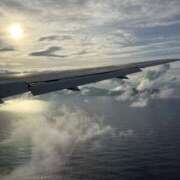 ヒメ日記 2025/09/27 06:07 投稿 新木 あなたに逢いたくて