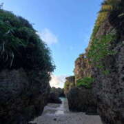 ヒメ日記 2025/09/30 06:07 投稿 新木 あなたに逢いたくて