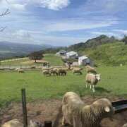ヒメ日記 2025/10/24 04:27 投稿 新木 あなたに逢いたくて