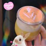 ヒメ日記 2025/10/29 02:17 投稿 新木 あなたに逢いたくて