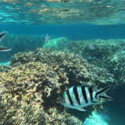 ヒメ日記 2025/11/05 07:37 投稿 新木 あなたに逢いたくて