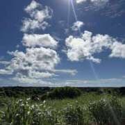 ヒメ日記 2025/11/08 07:07 投稿 新木 あなたに逢いたくて