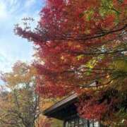 ヒメ日記 2025/11/10 20:07 投稿 新木 あなたに逢いたくて