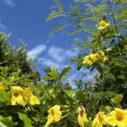 ヒメ日記 2025/11/14 03:07 投稿 新木 あなたに逢いたくて