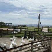 ヒメ日記 2025/11/15 03:37 投稿 新木 あなたに逢いたくて