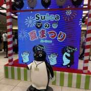 ヒメ日記 2025/11/17 23:07 投稿 新木 あなたに逢いたくて