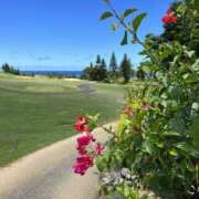 ヒメ日記 2025/11/26 05:17 投稿 新木 あなたに逢いたくて