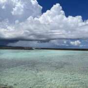 ヒメ日記 2025/11/29 09:07 投稿 新木 あなたに逢いたくて