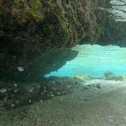 ヒメ日記 2025/12/05 02:07 投稿 新木 あなたに逢いたくて