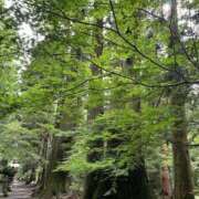 ヒメ日記 2025/12/20 04:07 投稿 新木 あなたに逢いたくて