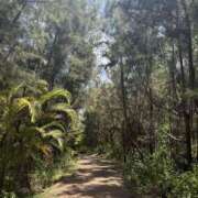 新木 お礼 あなたに逢いたくて