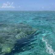 新木 明日出勤！ あなたに逢いたくて