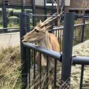 ヒメ日記 2026/01/09 03:37 投稿 新木 あなたに逢いたくて