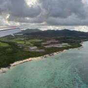 ヒメ日記 2026/01/14 02:07 投稿 新木 あなたに逢いたくて