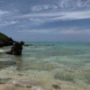 ヒメ日記 2026/01/31 03:07 投稿 新木 あなたに逢いたくて