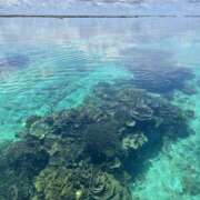 ヒメ日記 2026/02/11 03:07 投稿 新木 あなたに逢いたくて