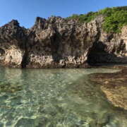 ヒメ日記 2026/02/14 03:07 投稿 新木 あなたに逢いたくて