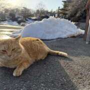 ヒメ日記 2026/02/22 20:07 投稿 新木 あなたに逢いたくて