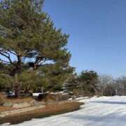 ヒメ日記 2026/02/28 02:07 投稿 新木 あなたに逢いたくて