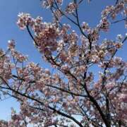 ヒメ日記 2026/03/01 20:07 投稿 新木 あなたに逢いたくて