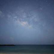 新木 今日は あなたに逢いたくて