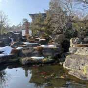 ヒメ日記 2026/03/10 23:07 投稿 新木 あなたに逢いたくて