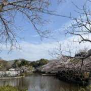 ヒメ日記 2026/04/01 02:07 投稿 新木 あなたに逢いたくて