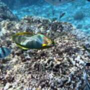 ヒメ日記 2026/04/08 01:37 投稿 新木 あなたに逢いたくて