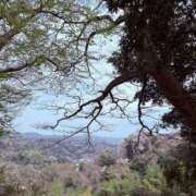 ヒメ日記 2026/04/11 02:07 投稿 新木 あなたに逢いたくて