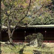 ヒメ日記 2026/06/20 01:07 投稿 新木 あなたに逢いたくて