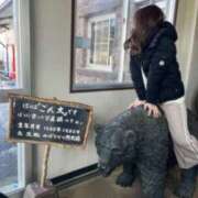 ヒメ日記 2025/11/12 03:27 投稿 葵ののか Mrs.Dreamer