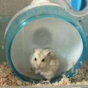 ヒメ日記 2025/03/25 23:42 投稿 れいな 横浜人妻セレブリティ（ユメオト）