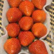 れいな 来月の楽しみ 横浜人妻セレブリティ（ユメオト）