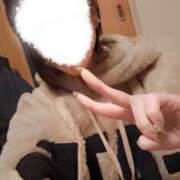 ヒメ日記 2025/03/20 05:39 投稿 るか 千葉人妻花壇