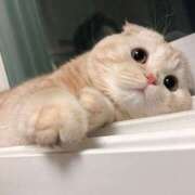 ヒメ日記 2025/03/23 06:23 投稿 海里（かいり） 東金人妻花壇