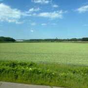 ヒメ日記 2025/06/18 14:59 投稿 ロイズ 帯広黒い金魚