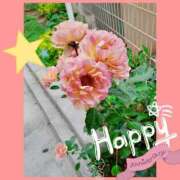 ヒメ日記 2025/03/29 14:52 投稿 なずな 完熟ばなな千葉店