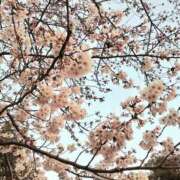 ヒメ日記 2025/04/15 20:22 投稿 なずな 完熟ばなな千葉店