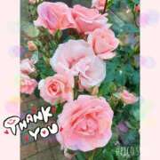 ヒメ日記 2025/04/18 11:52 投稿 なずな 完熟ばなな千葉店