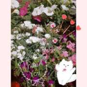 ヒメ日記 2025/04/20 11:50 投稿 なずな 完熟ばなな千葉店